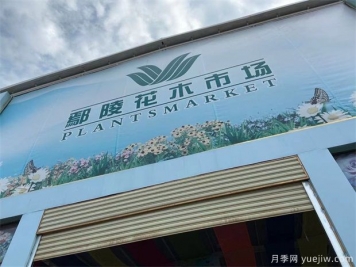 鄢陵县花木产业未必能想到的那些问题